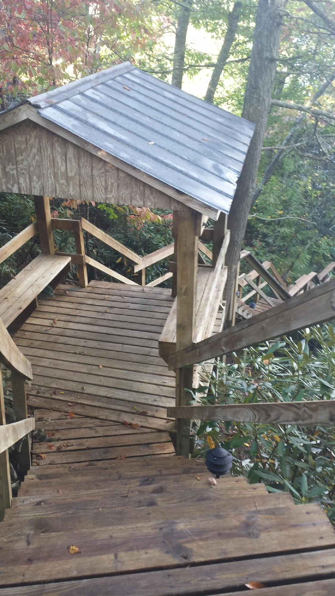 Metal roofed shelter over wooden steps on a wooded walkway — Skylight Repair & Installation work by our crew in Tehama